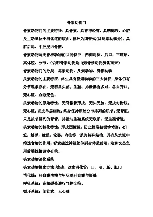 脊索动物门