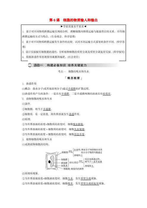 2024版高考生物总复习：细胞的物质输入和输出教师用书