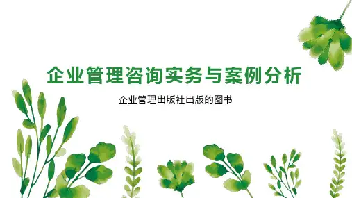企业管理咨询实务与案例分析