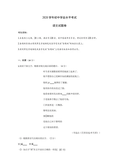 2020年初中学业水平考试语文试题及答案 (1)