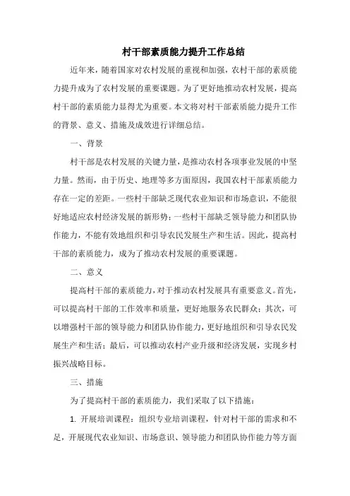 村干部素质能力提升工作总结