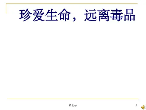 禁毒教育完整1ppt课件