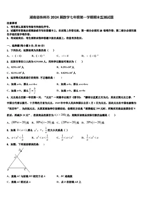 湖南省株州市2024届数学七年级第一学期期末监测试题含解析