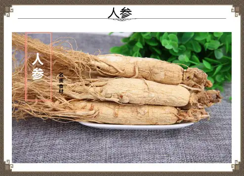 人参的功效作用及食用方法
