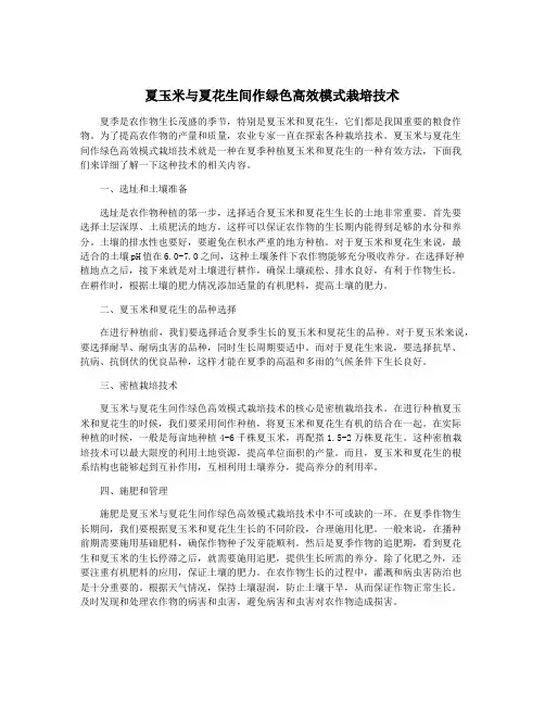 夏玉米与夏花生间作绿色高效模式栽培技术