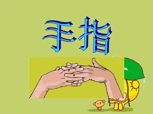 《手指》精品 课件 