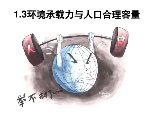 环境承载力与人口合理容量(中图版)
