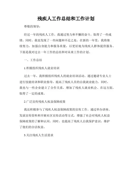 残疾人工作总结和工作计划