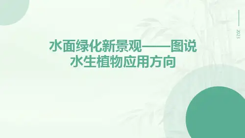 水面绿化新景观——图说水生植物应用方向