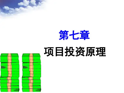 人大版《财务管理学》第7章投资决策原理.pptx