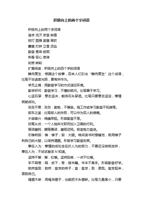 积极向上的两个字词语