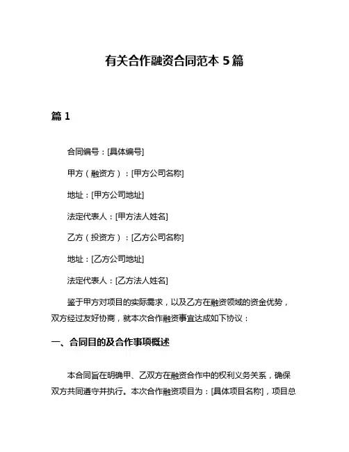 有关合作融资合同范本5篇