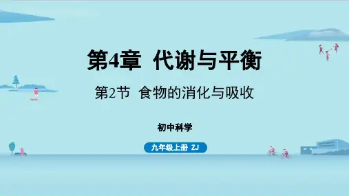 第4章代谢与平衡第2节食物的消化与吸收-2024-2025学年九年级科学(浙教版)上课课件