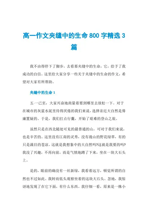 高一作文夹缝中的生命800字精选3篇