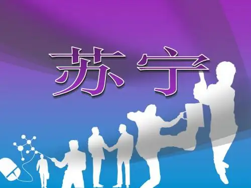 苏宁案例