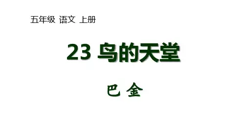 《鸟的天堂》ppt课件