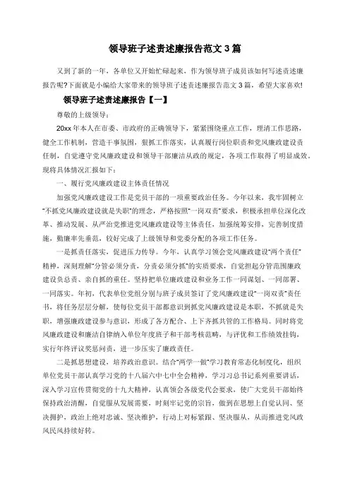 领导班子述责述廉报告范文3篇