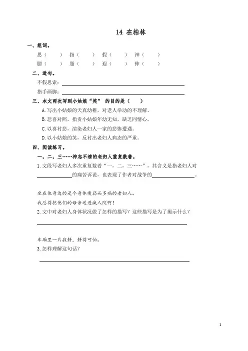 【精编】新人教统编版六年级上册语文课时练习-14在柏林(含答案).doc