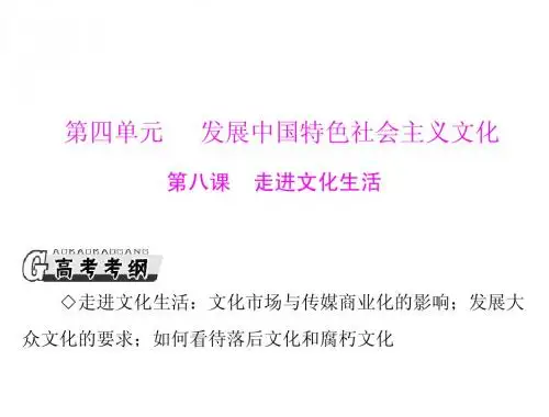 2013年高考政治一轮复习考点课件：第八课 走进文化生活(新人教必修3)