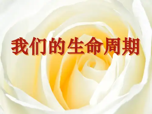 小学三年级下册科学 《我们的生命周期》动物的生命周期优质课件PPT