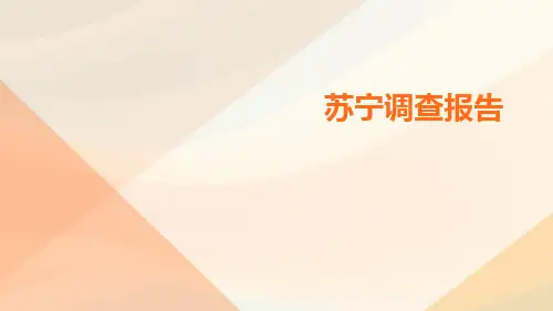 苏宁调查报告