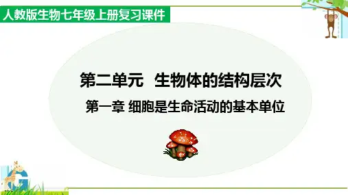 第二单元第1章 细胞是生命活动的基本单位(复习课件)七年级生物上册单元复习课件(人教版)
