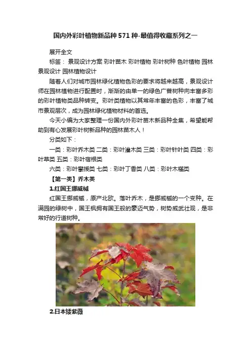 国内外彩叶植物新品种571种-最值得收藏系列之一