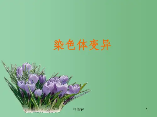 (新课标)高中生物《染色体变异》课件29 新人教版必修2