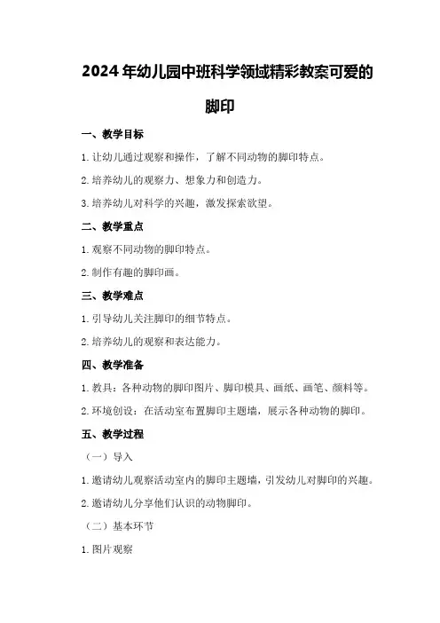 2024年幼儿园中班科学领域精彩教案可爱的脚印