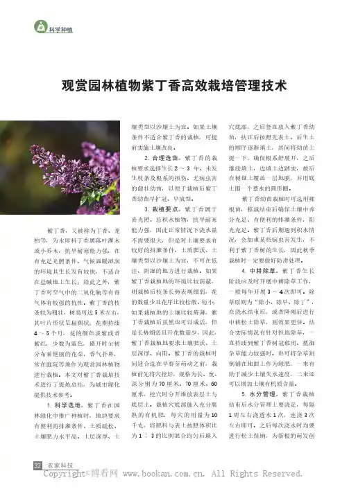 观赏园林植物紫丁香高效栽培管理技术