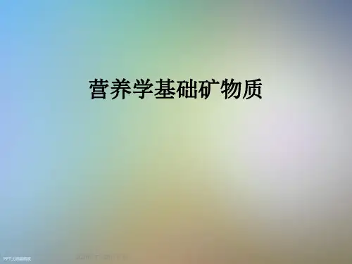 营养学基础矿物质
