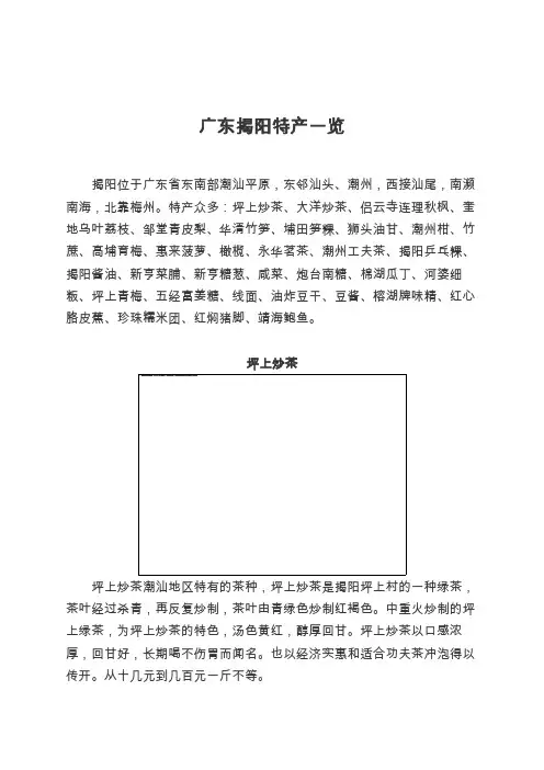广东揭阳特产一览