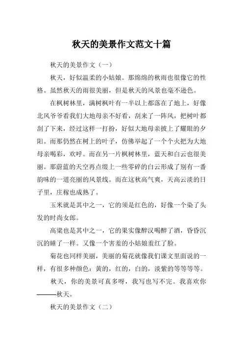 秋天的美景作文范文十篇
