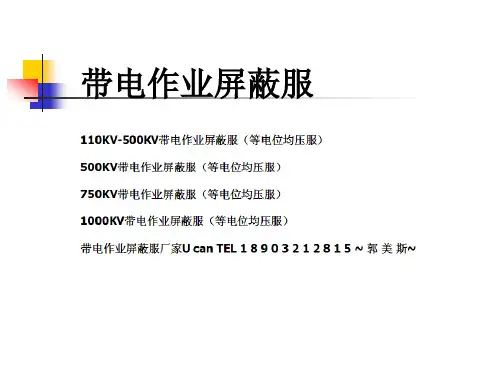 专业带电作业屏蔽服厂家、型号、适用范围(等电位均压服