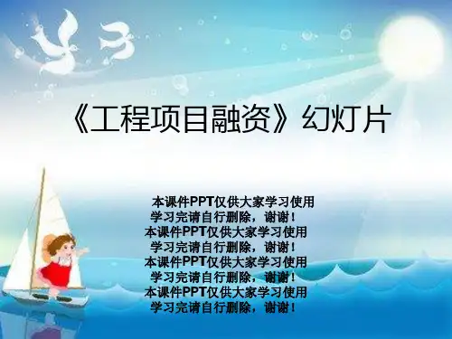《工程项目融资》幻灯片