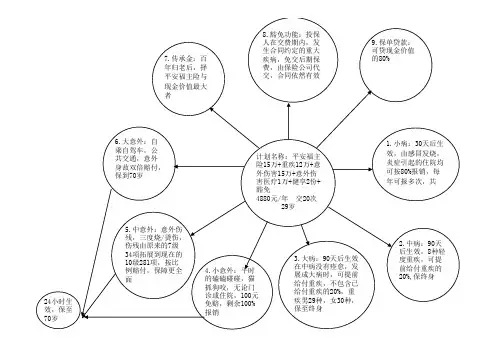 平安福太阳图 (1)