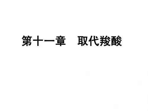 讲稿(PP)-取代酸