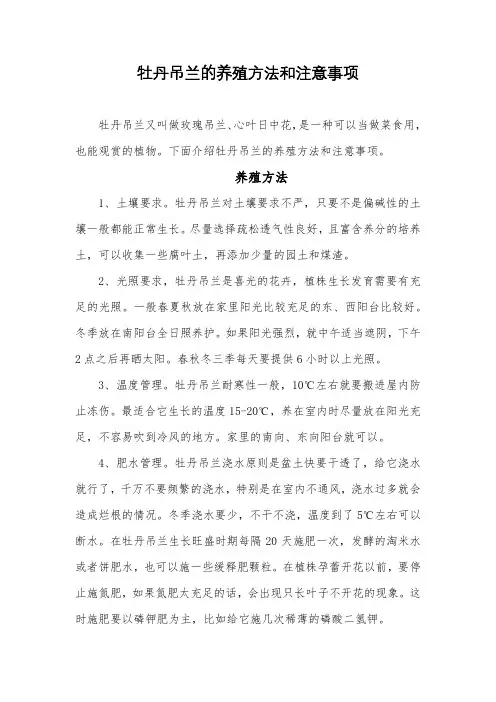 牡丹吊兰的养殖方法和注意事项