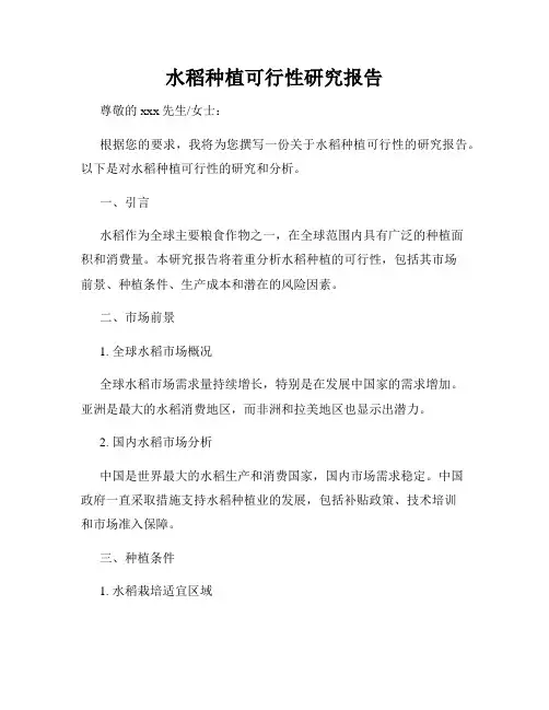 水稻种植可行性研究报告