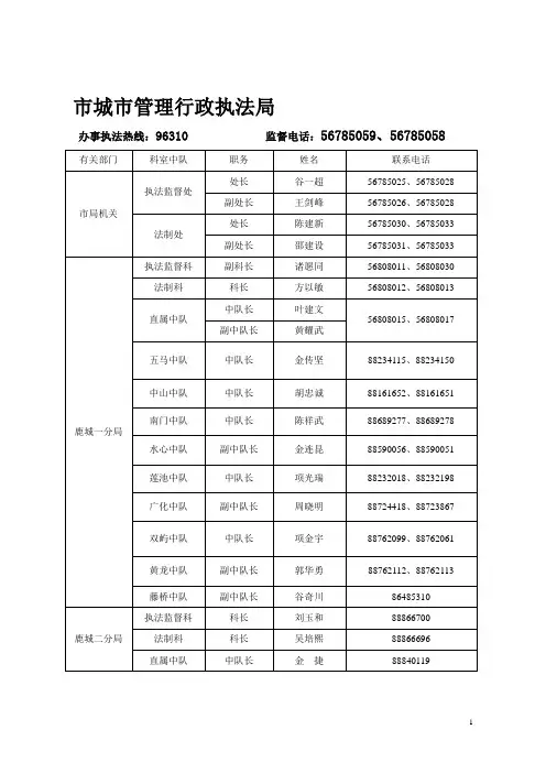 市城管执法局中层干部名单