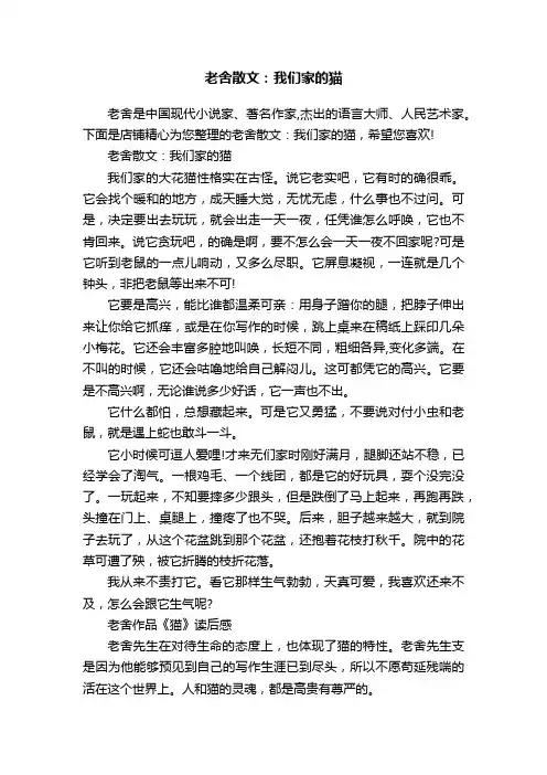 老舍散文：我们家的猫