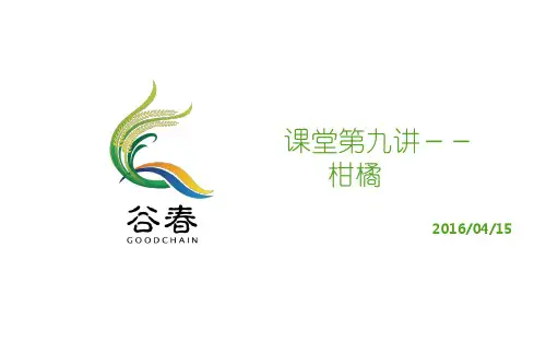 柑橘分类