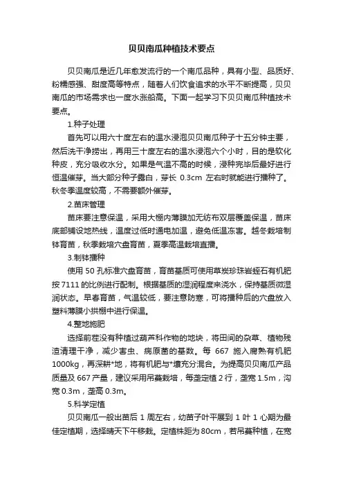 贝贝南瓜种植技术要点