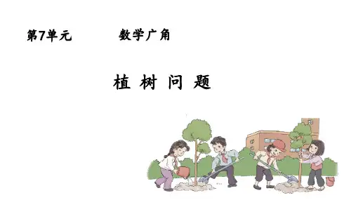 植树问题(封闭图形)
