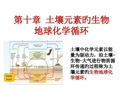 土壤磷循环获奖课件