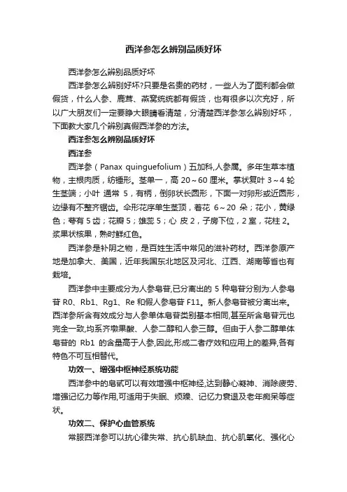 西洋参怎么辨别品质好坏