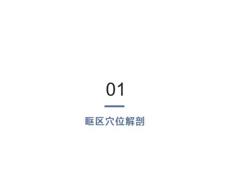 眼部穴位解剖