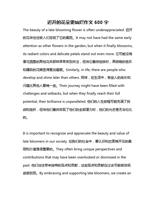 迟开的花朵更灿烂作文600字