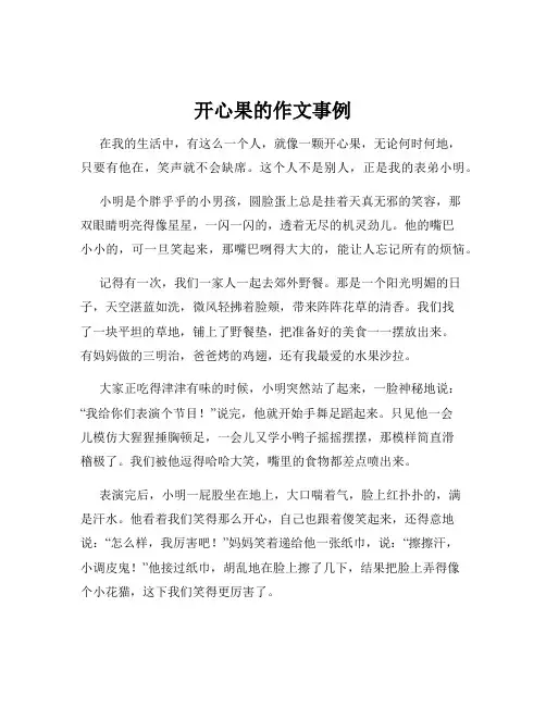 开心果的作文事例