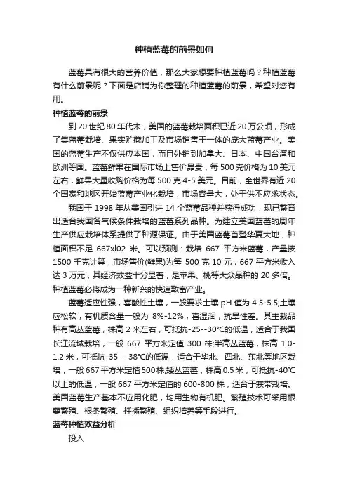 种植蓝莓的前景如何